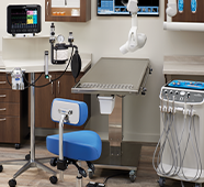 Anesthesia setup in veterinary space