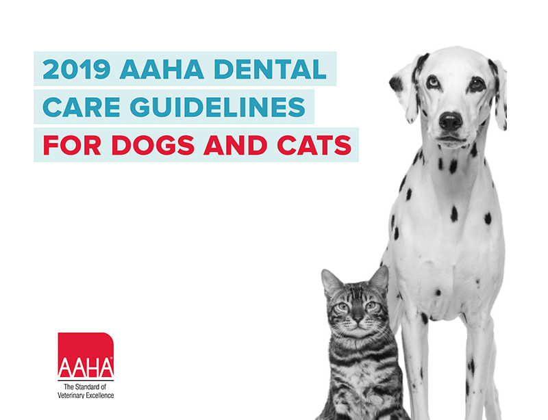 2019 AAHA Dental Care Guidelines