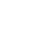 Completion Icon