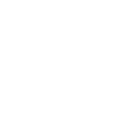 Validation Icon