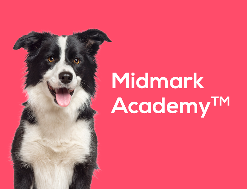 midmark-academy