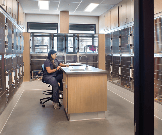 Animal health facility image 2