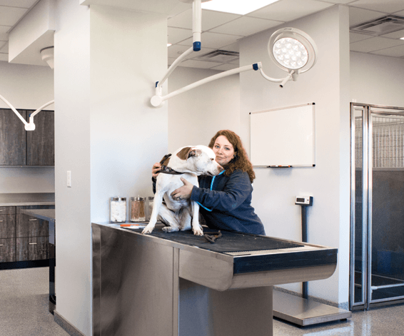 Animal health facility image 4