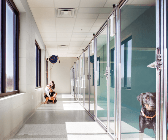 Animal health facility image 3