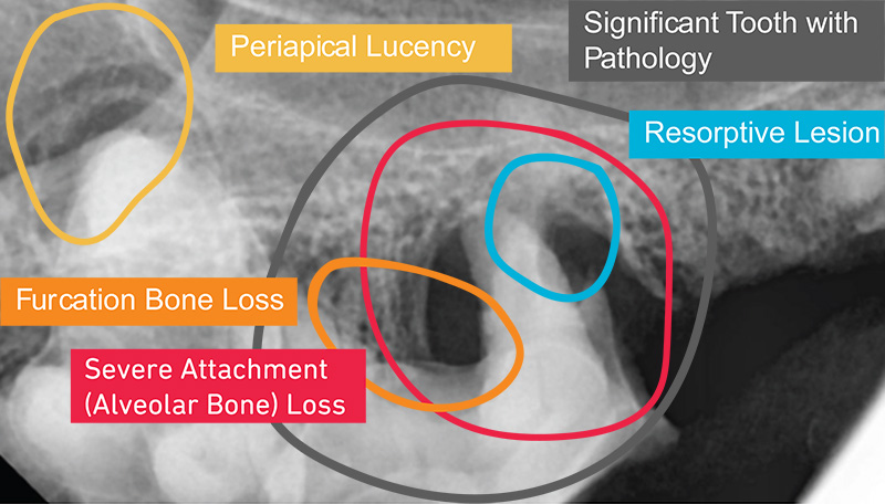 Midmark Announces Partnership with SignalPET