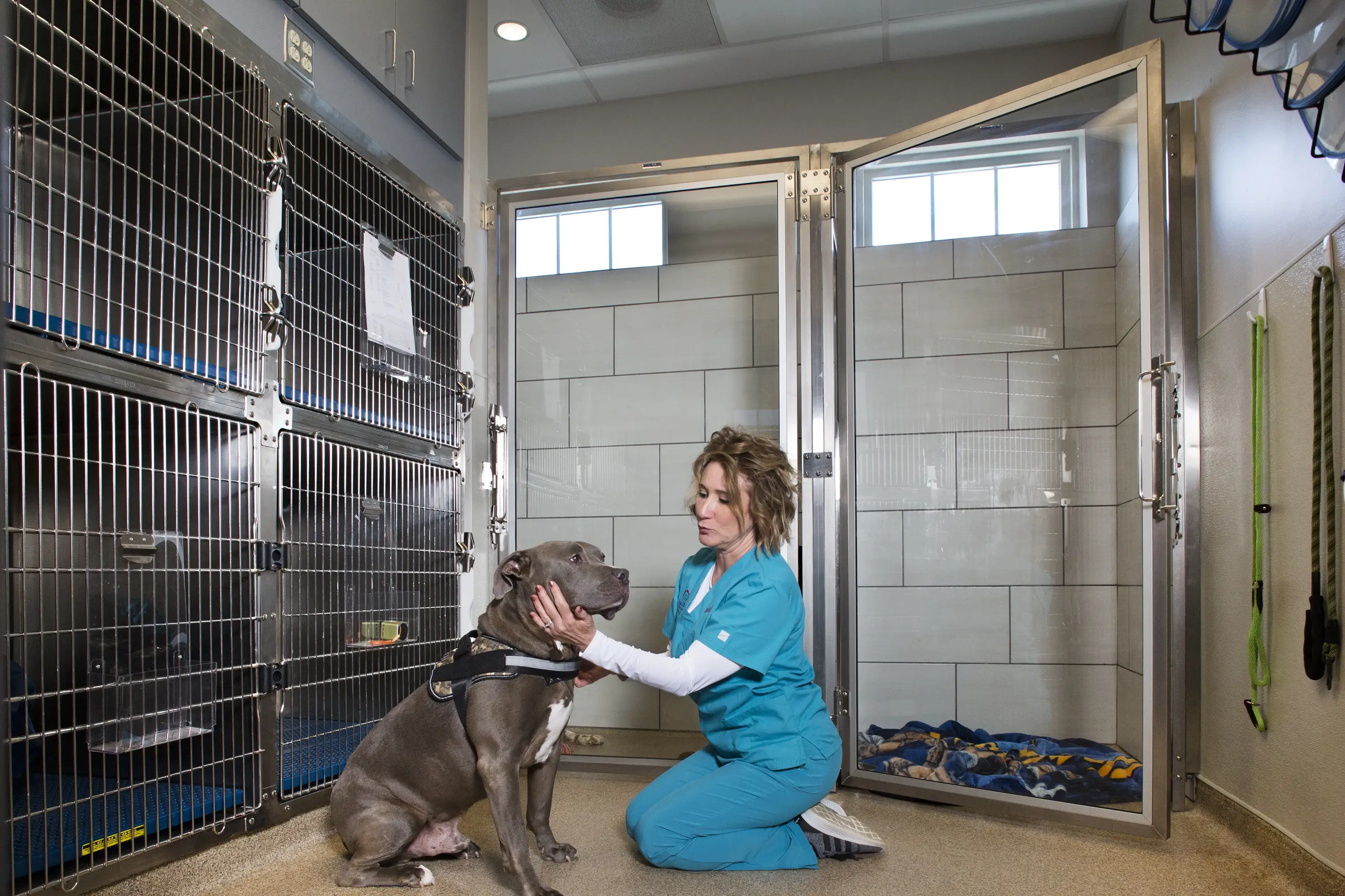 Kennels