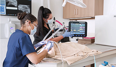 Safer Anesthesia Delivery Starts with Better Equipment Management