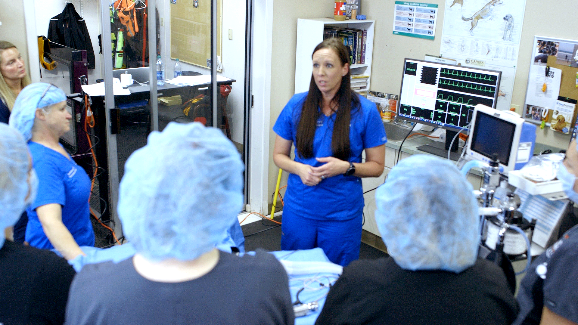 Midmark introduces new veterinary anesthesia simulation course through Midmark Academy