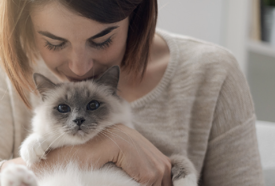 Digital Dental Radiography