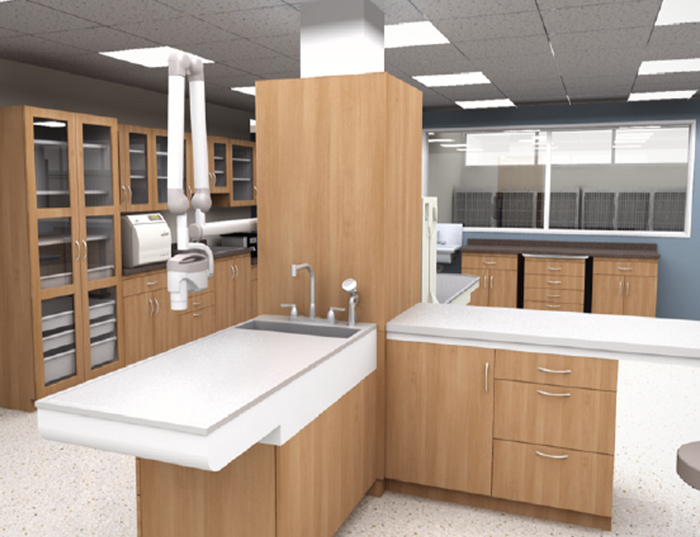 Hospital Design Brochure