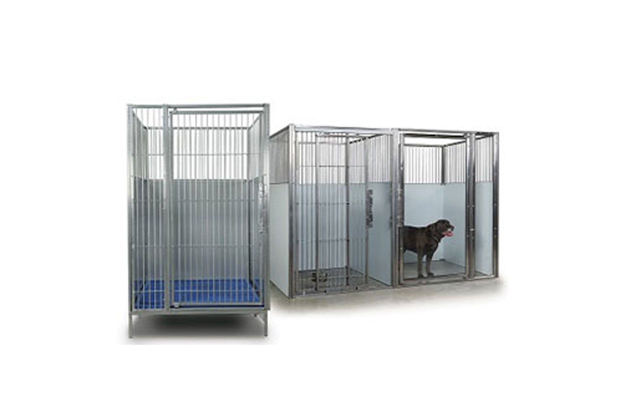modular dog run