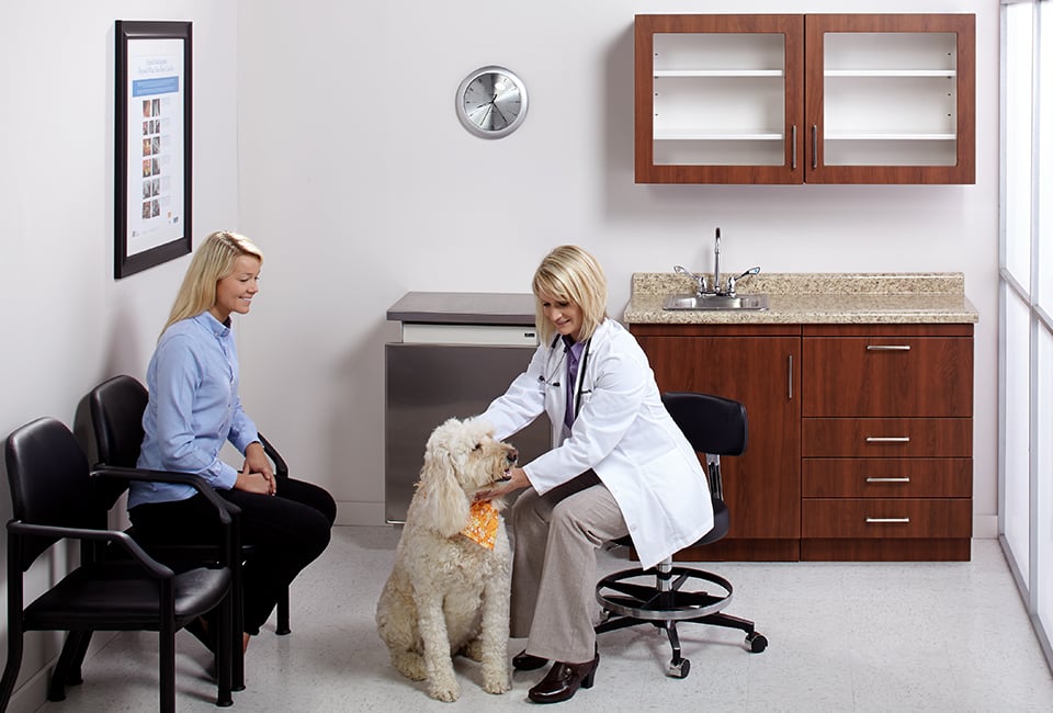 Seating Upholstery Selections