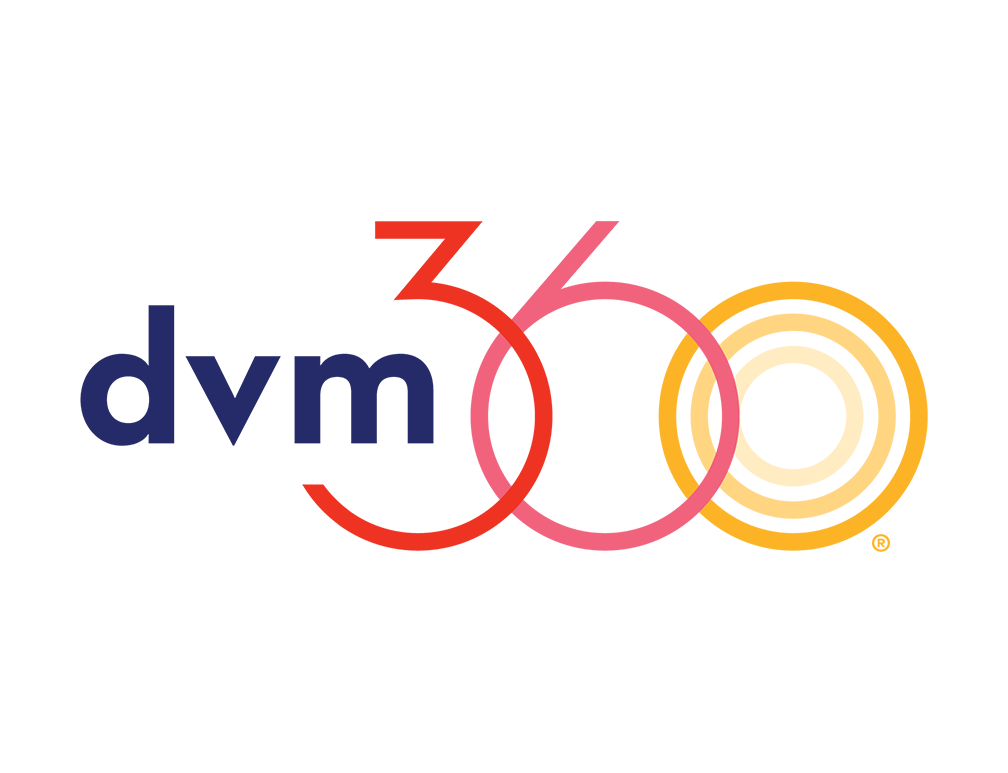 Designing an Award-Winning Animal Hospital