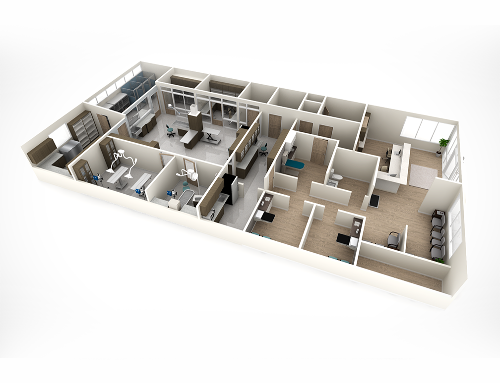 Animal Hospital Design Strategies for Better Care