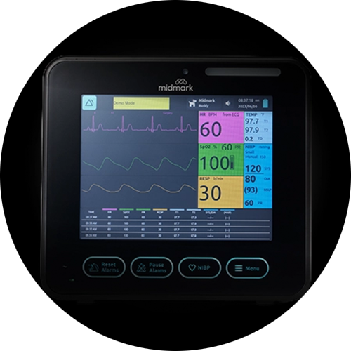 Anesthetic Record Interface