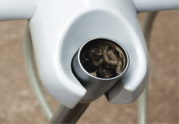 Biofilm in the Waterlines: A Hidden Threat to Veterinary Dentistry