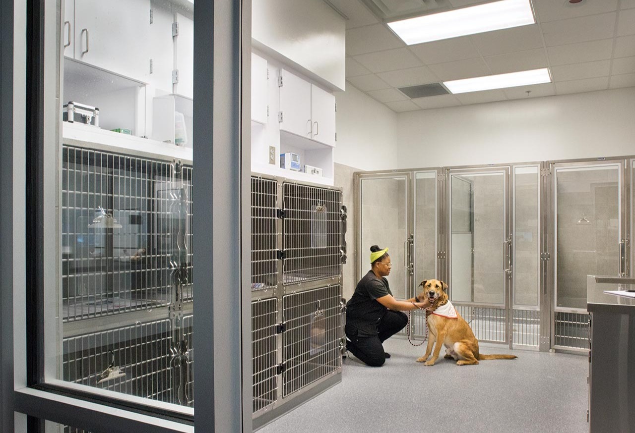 Where Healing Begins: Creating a Recovery Space That Works for You