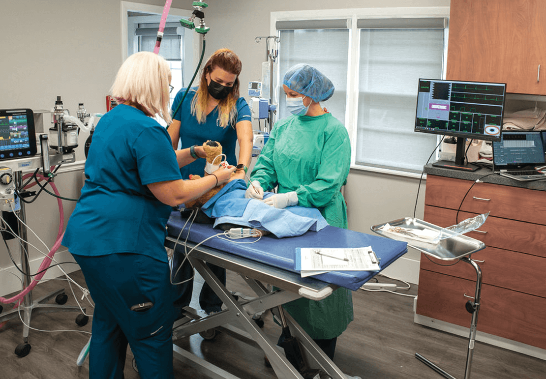 3 Ways to Protect Your Dental Sensors