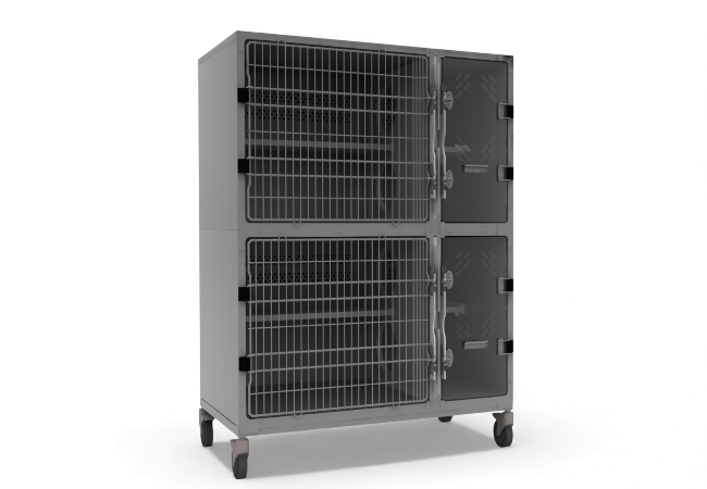 Double Stack Cat Suit