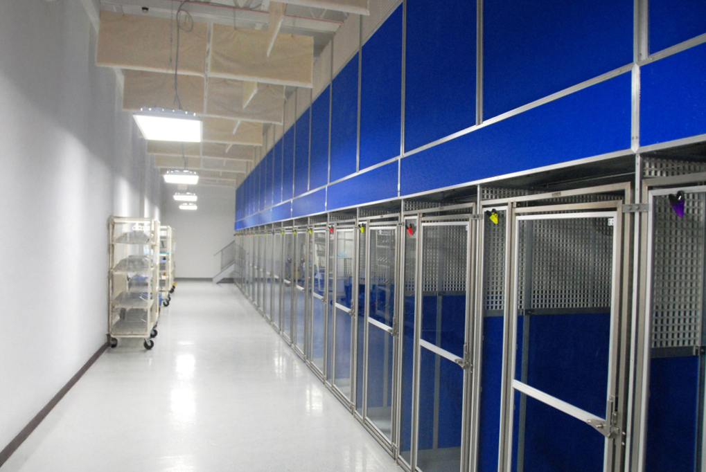 Double Decker Kennel