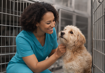 From Cage to Care Unit: A Quiet Shift in Veterinary Housing