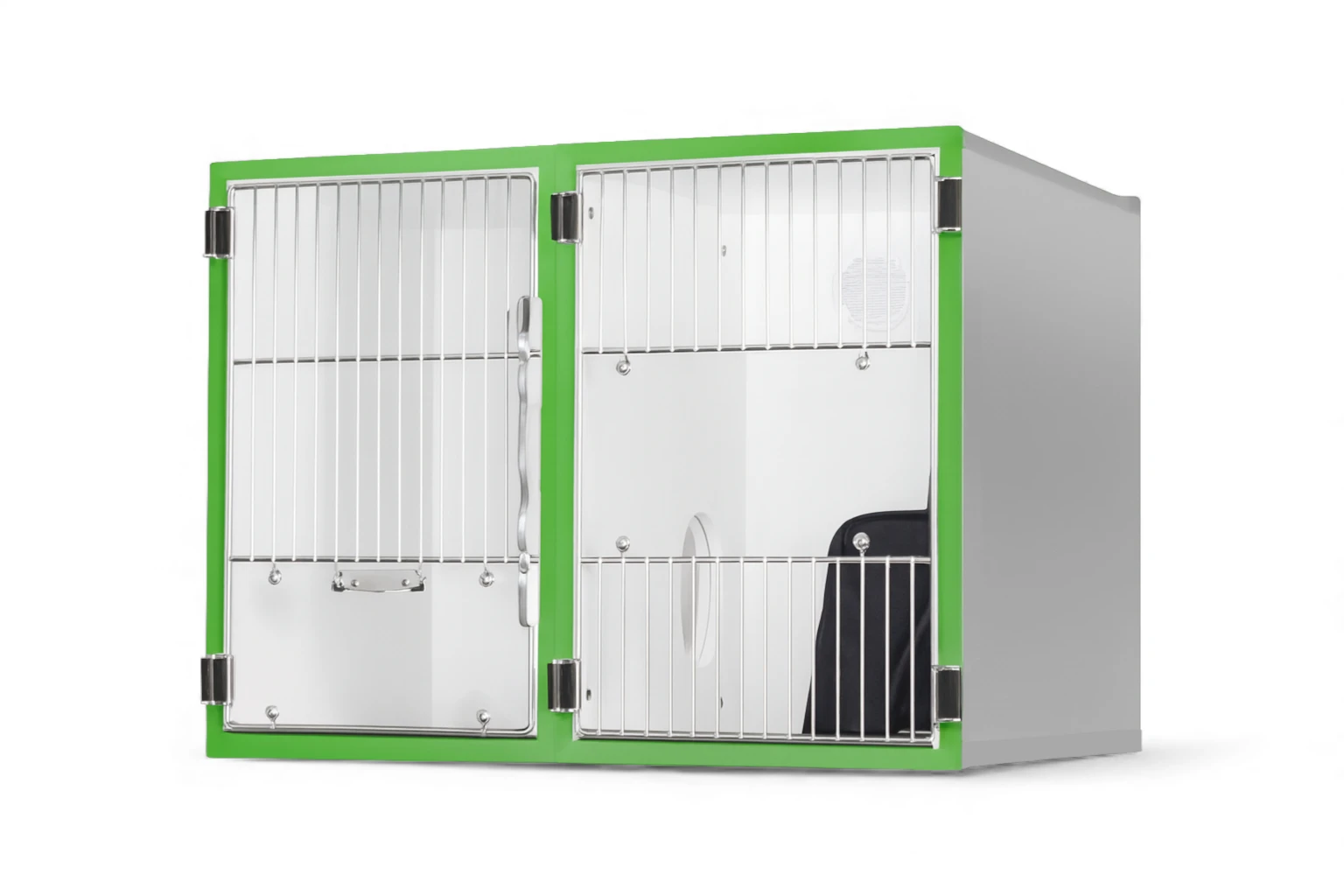 green-border-cat-condo