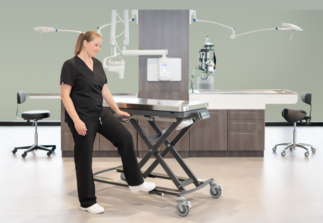 The Six Essential Tables Every Veterinary Practice Needs