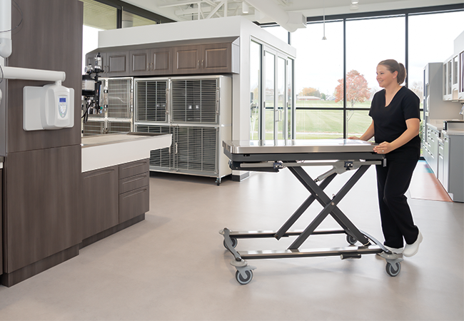 mobile-lift-table