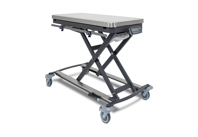 Mobile Lift Table