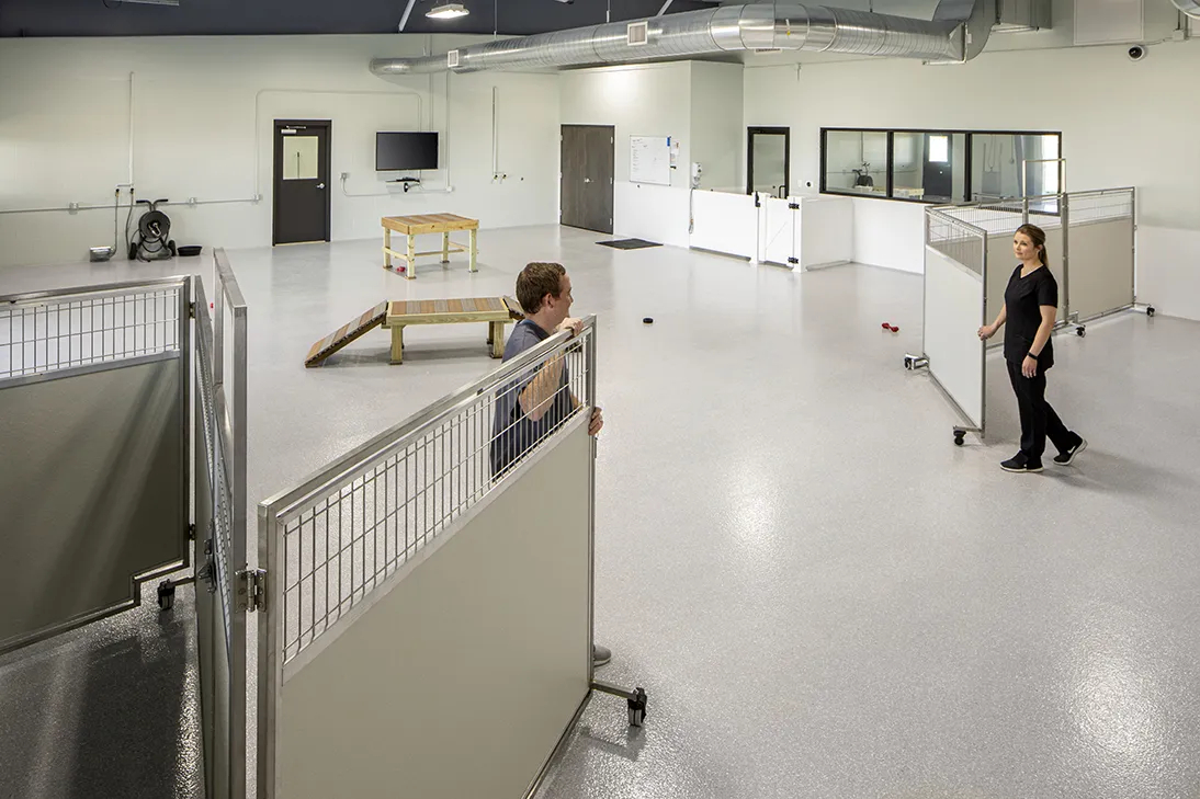 Mobile Room Dividers