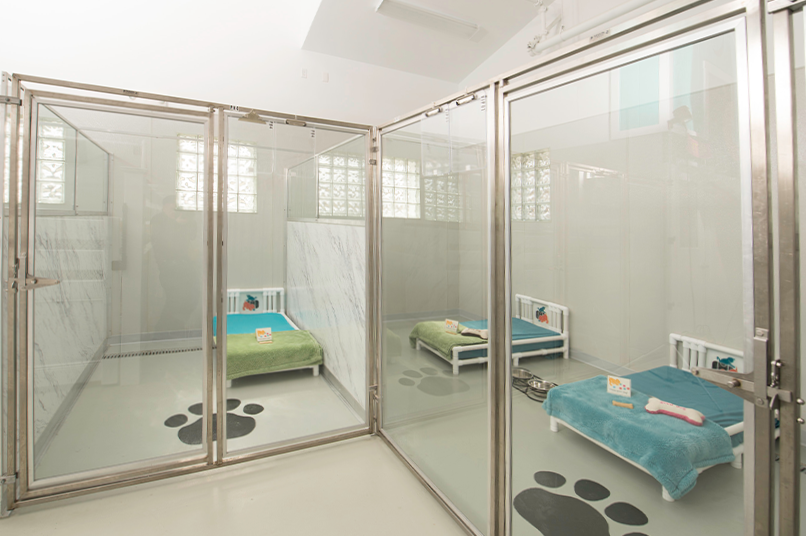 midmark sani-kennels with dog beds