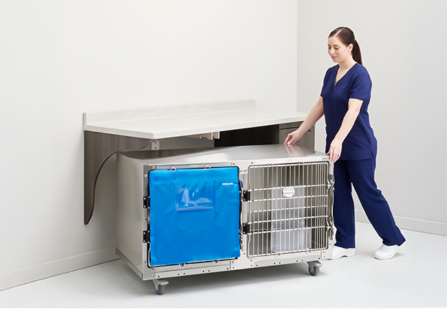 ss-cage-banks-action-1