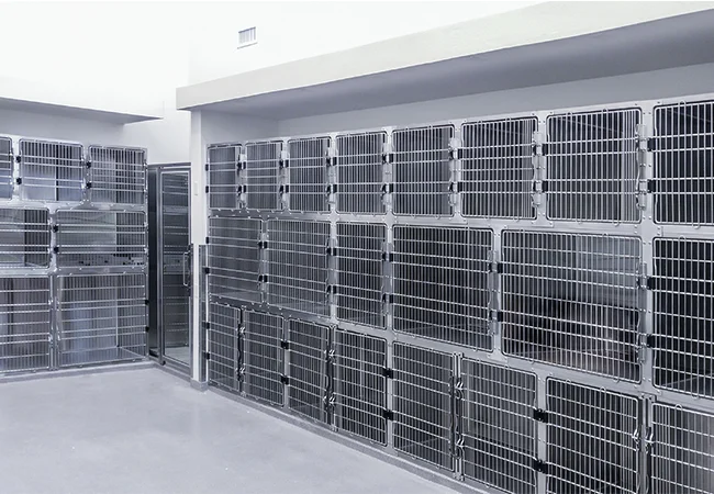 ss-cage-banks-action-2