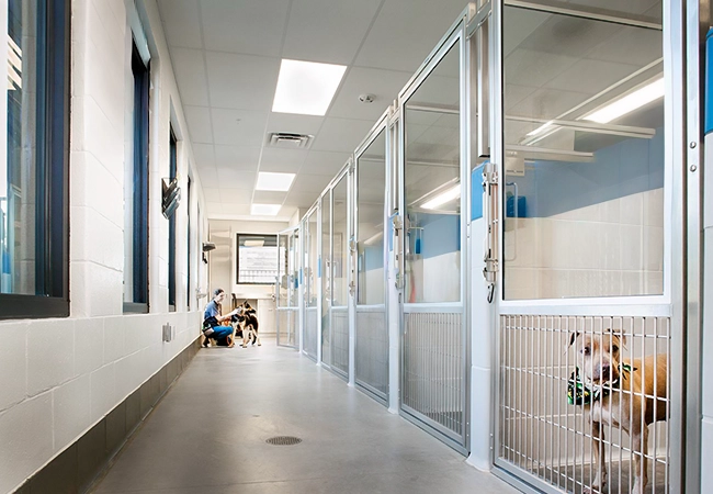 SS-Kennels-Real-Life-Pic-1