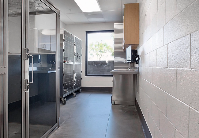 ss kennels reale life 2