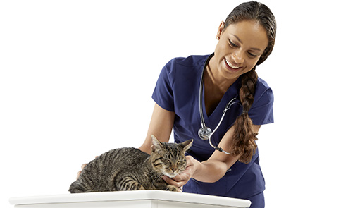 Midmark partners with Auburn University to offer dentistry elective