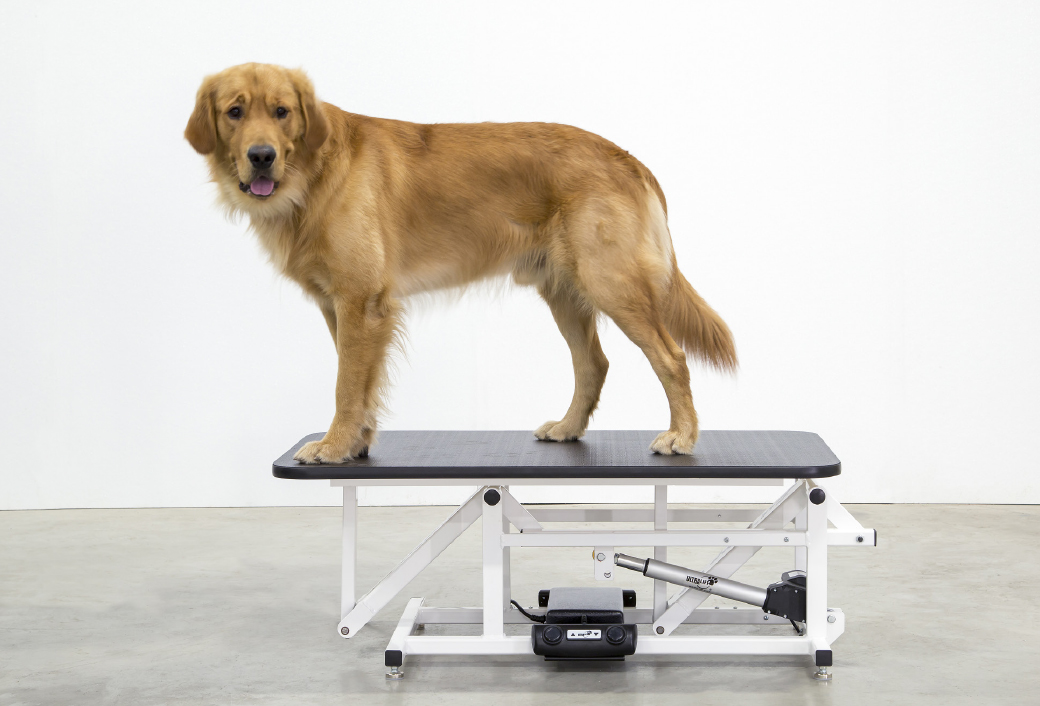 Adjustable Height Grooming Table
