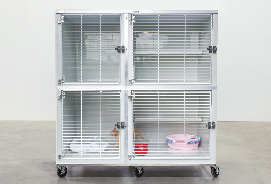 Fiberglass Cat Suites