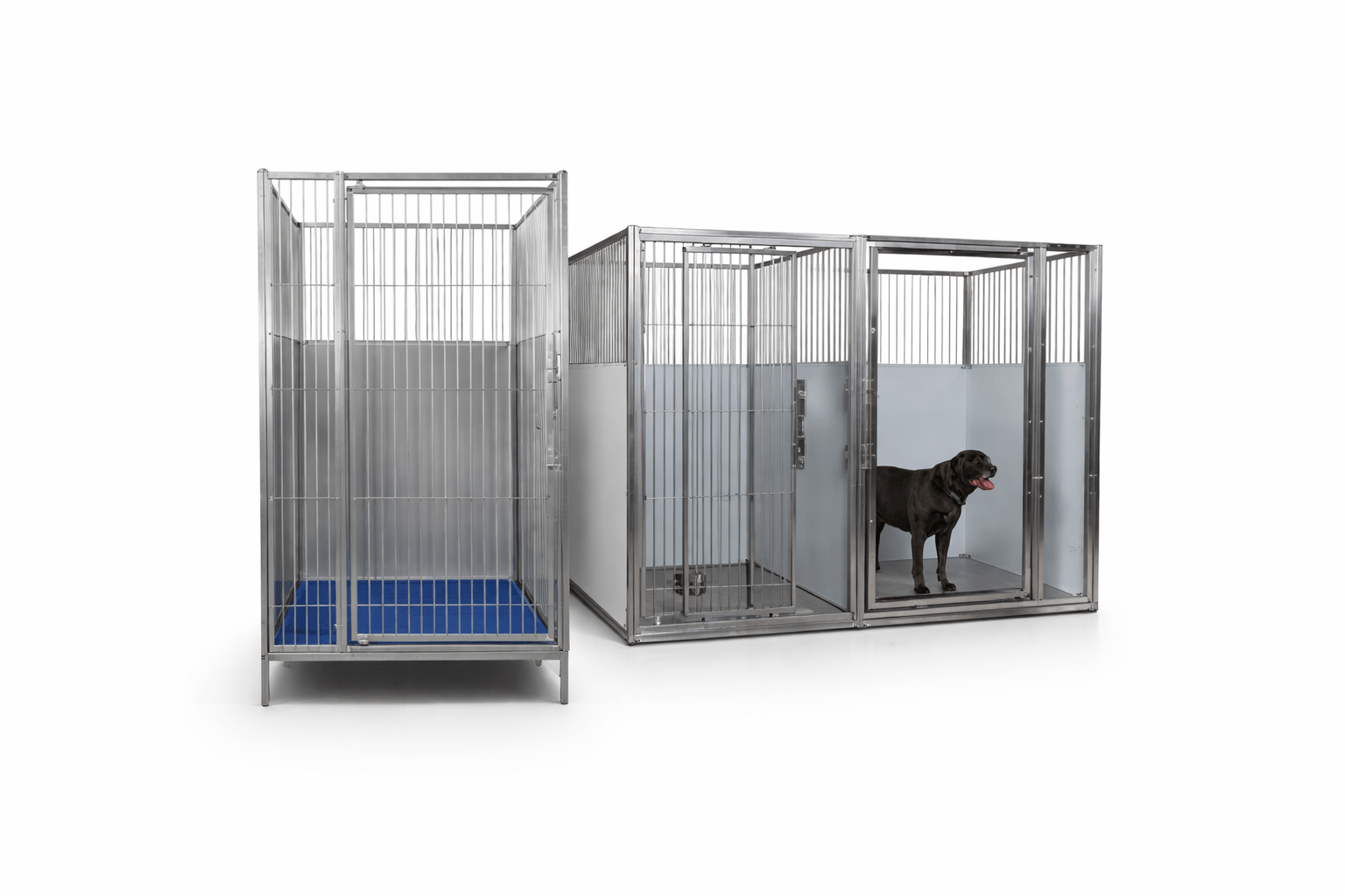 Stainless steel dog kennels setup