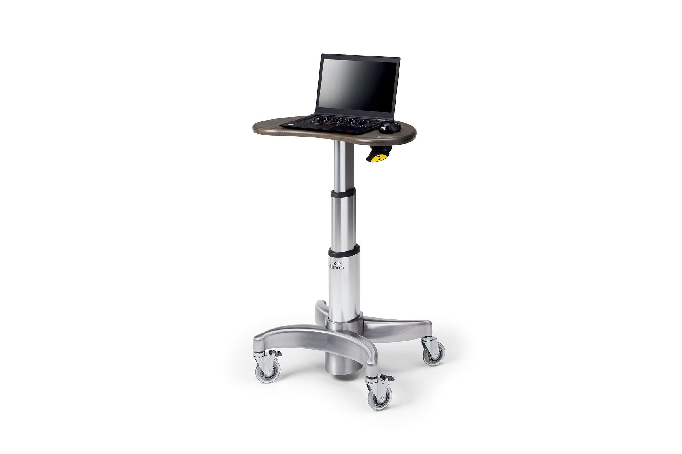6215-small-top-kidney