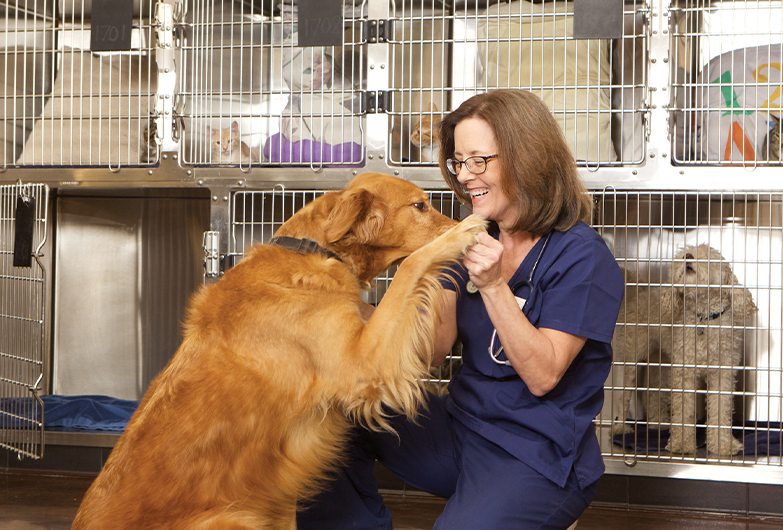 Vet with dog in front of cages and kennels