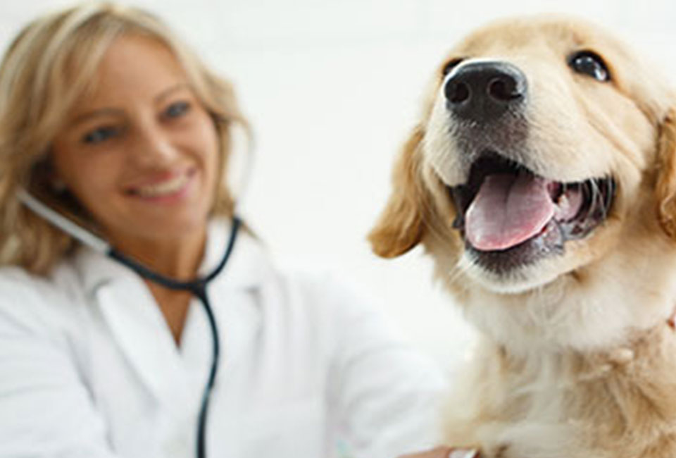 Anesthesia Monitoring Best Practices 101 + 201