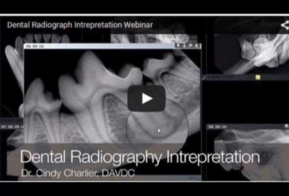 Interpretation of Canine Radiographs