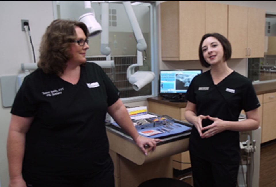 Introduction to Veterinary Dentistry online course