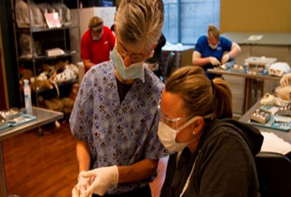 Level II Clinical Dentistry Lab for Veterinarians