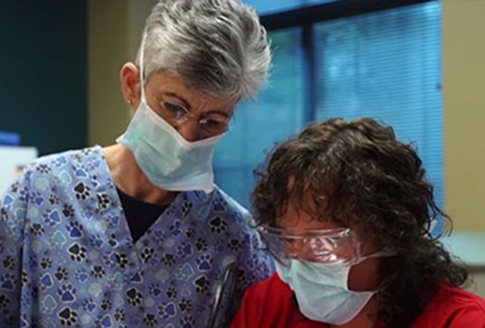 Clinical Dentistry Lab for the Veterinarian