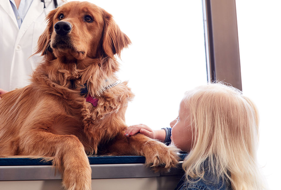 Tables Midmark Veterinary Products and Services