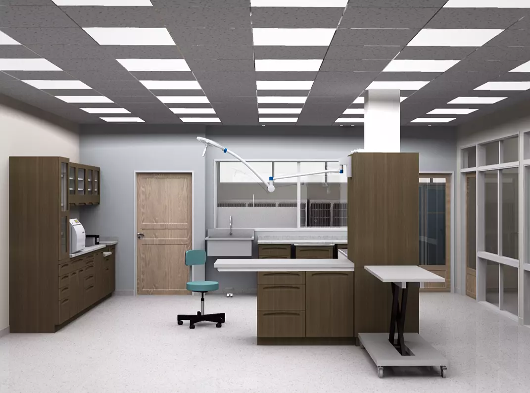 3d model of treatment room