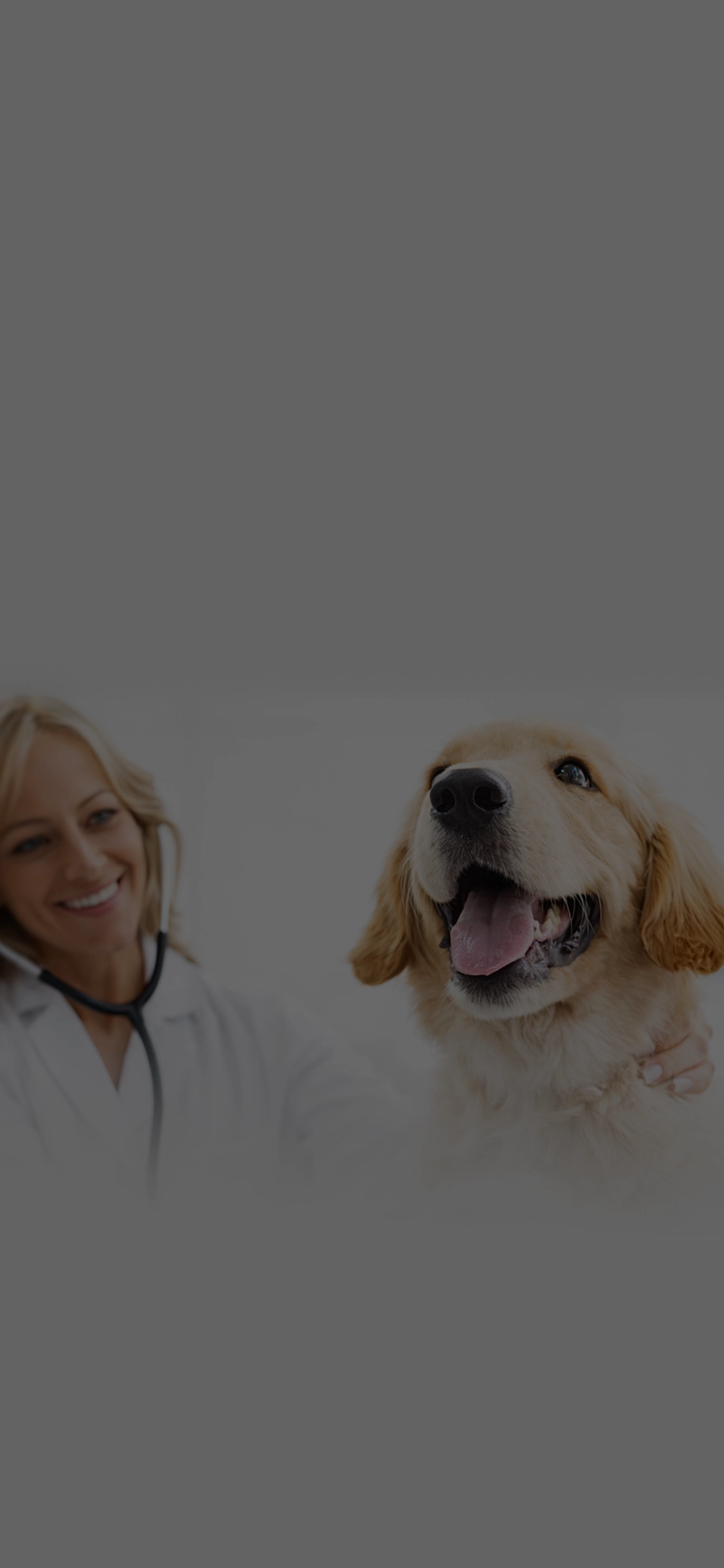 comp-dent-mobile-header