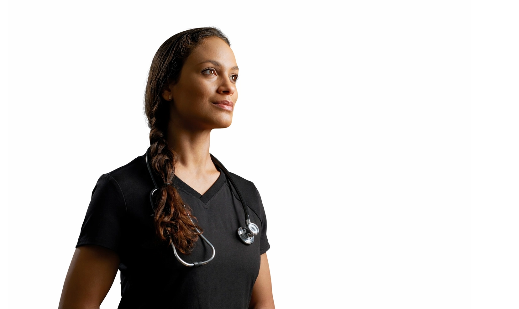 Veterinary professional representing comprehensive dentistry planning